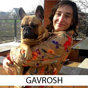 Gavrosh_z