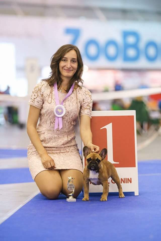 fb_img_1473422102551