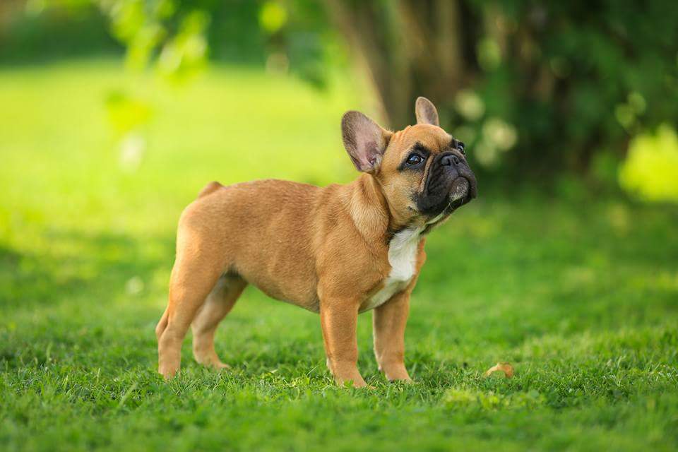 fb_img_1473422868821