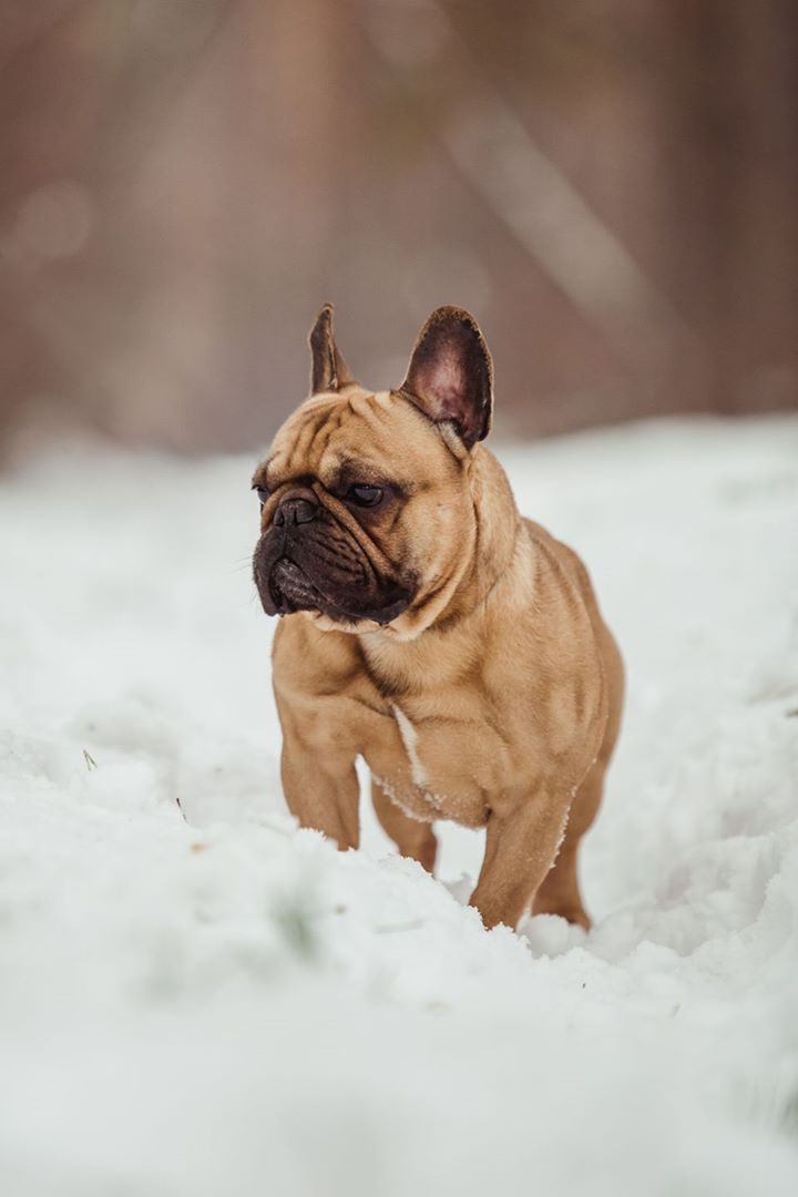 16904790_1433945219989661_3938430305080743845_o