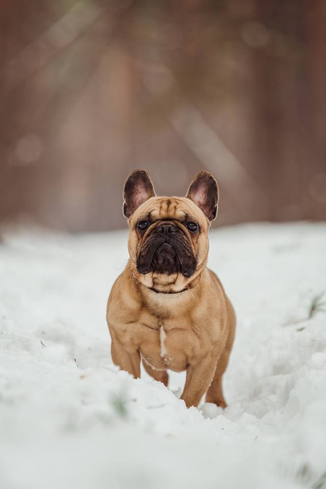 16998031_1433937393323777_564630903368843618_n (1)