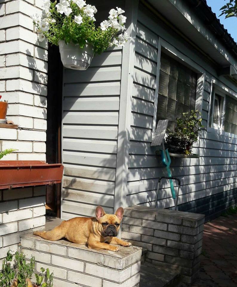 19148968_1569396066437531_3534685654413340312_n