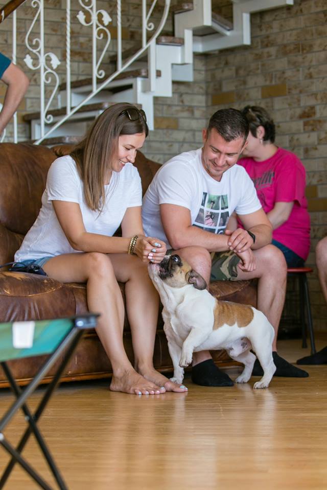 34962540_1705373169550506_6557746562217279488_n