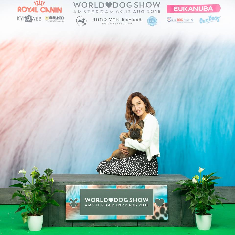 38936125_1803858829701939_898820755360317440_n