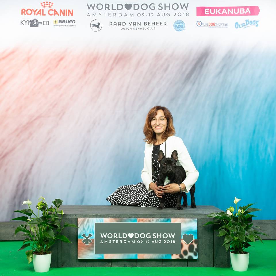 39087591_1803858649701957_272218360115101696_n (1)