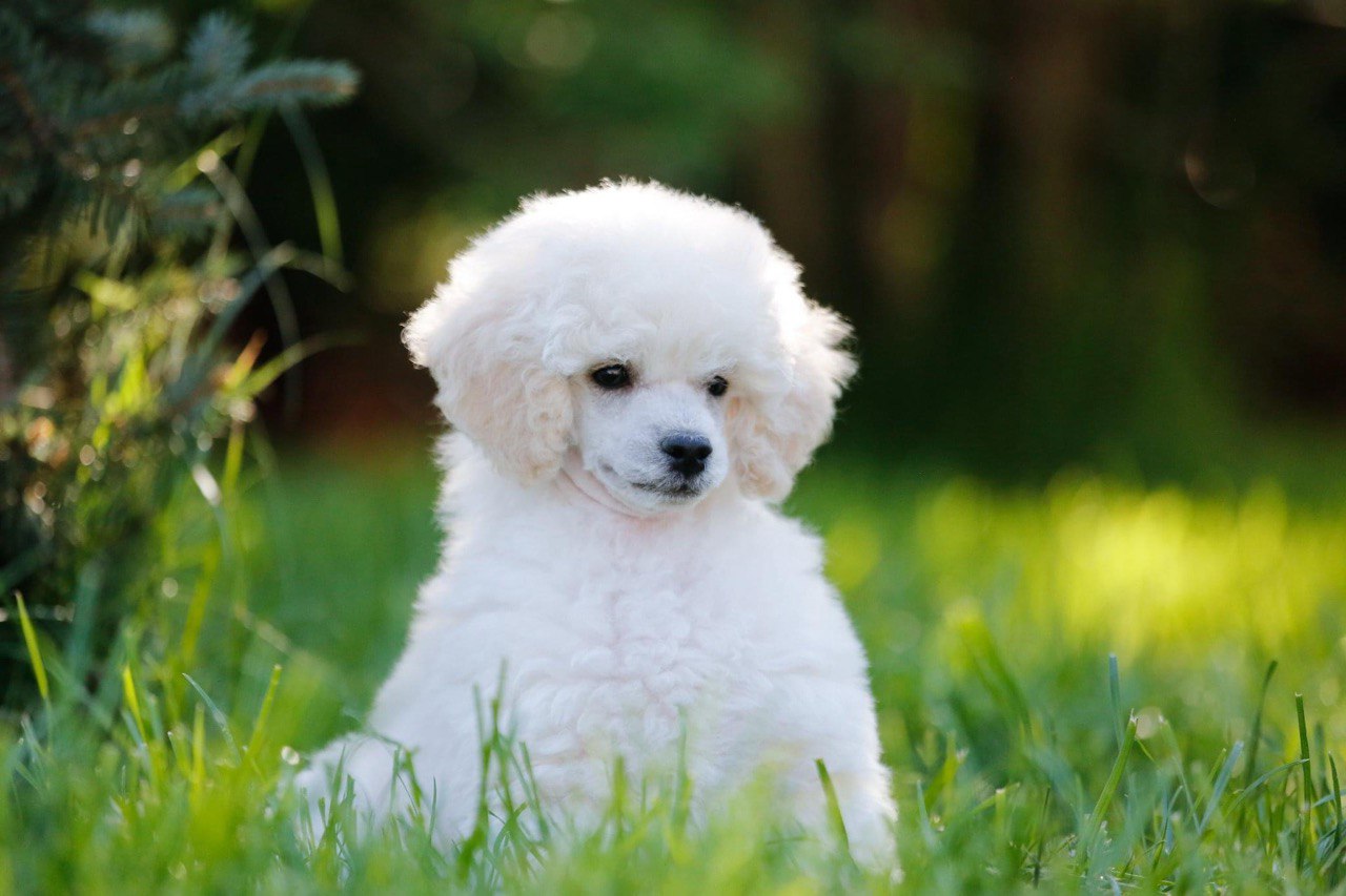 14f41736-d34d-4941-8f0d-3eb25c838de0