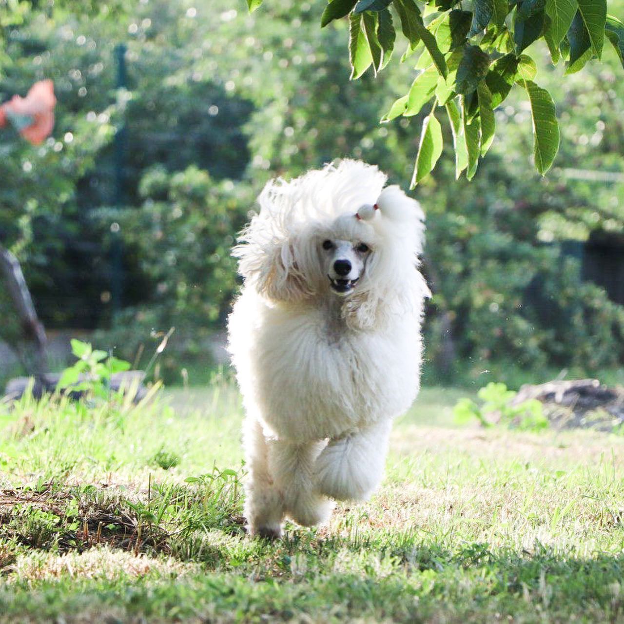 297114015_5300763060011481_1951170996163312454_n