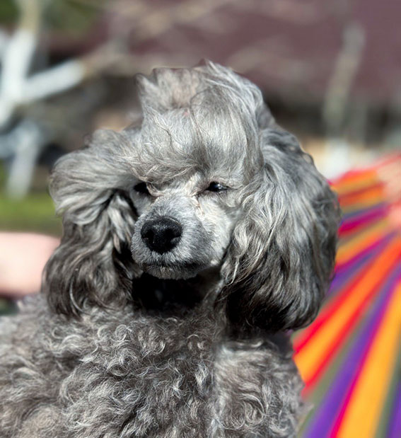 ddb07b57-317d-4053-930c-9535d9084caa