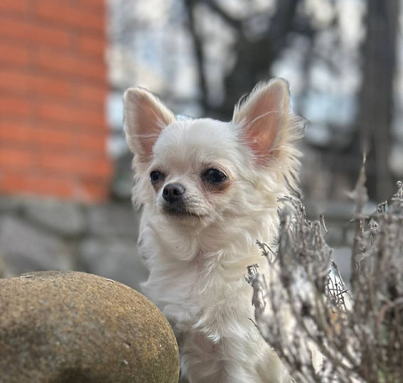 709ce513-9855-40c7-99fe-f8d4ddfb0de9